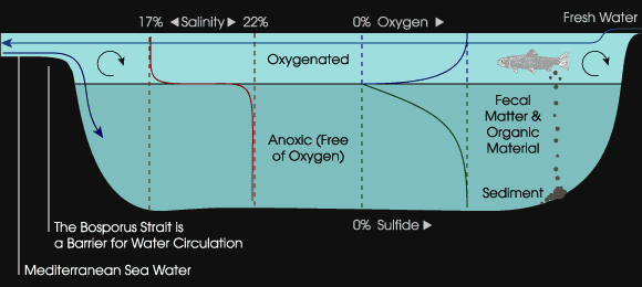 Black Sea Diagram