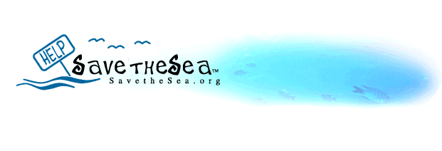 Save The Sea